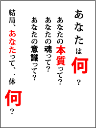 あなたは、何?